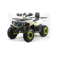 Запчасти для Квадроцикл MOTOLAND ATV200 WILD TRACK LUX 4т/200cc/